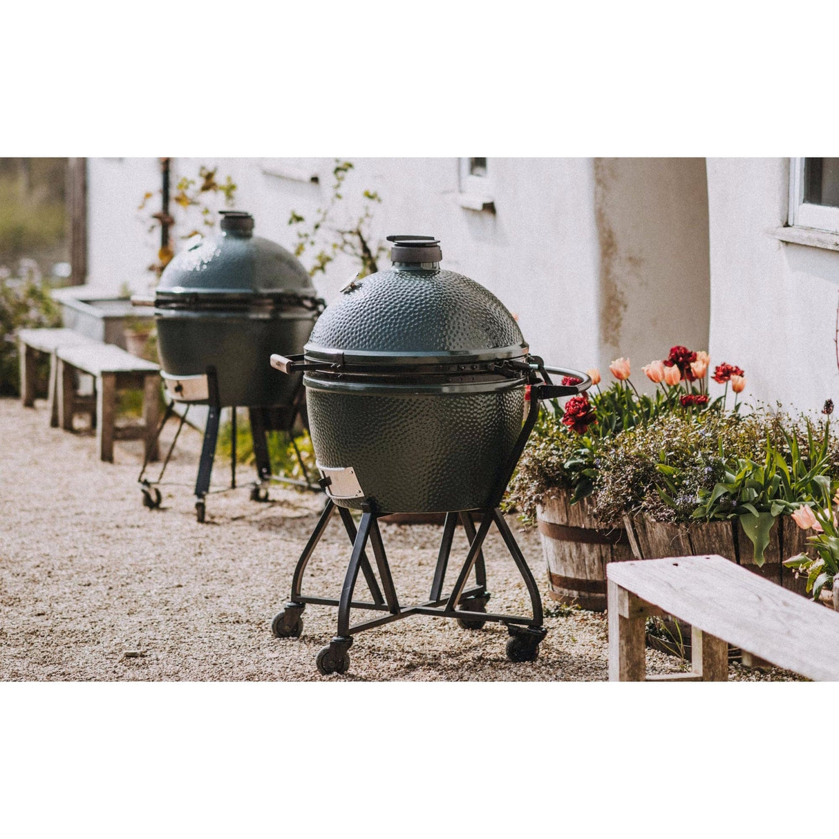 XL EGG IntEGGrated Nest Bundle two xl eggs in backyard