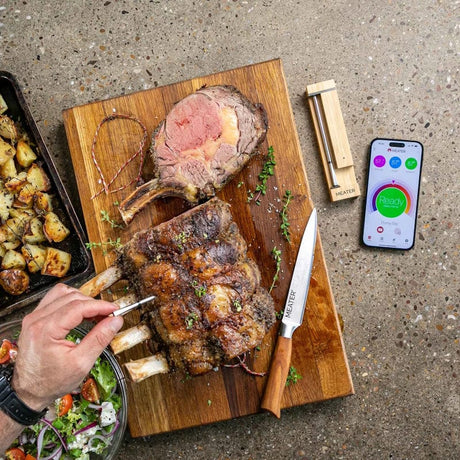 Wireless Smart Meat Thermometer and food