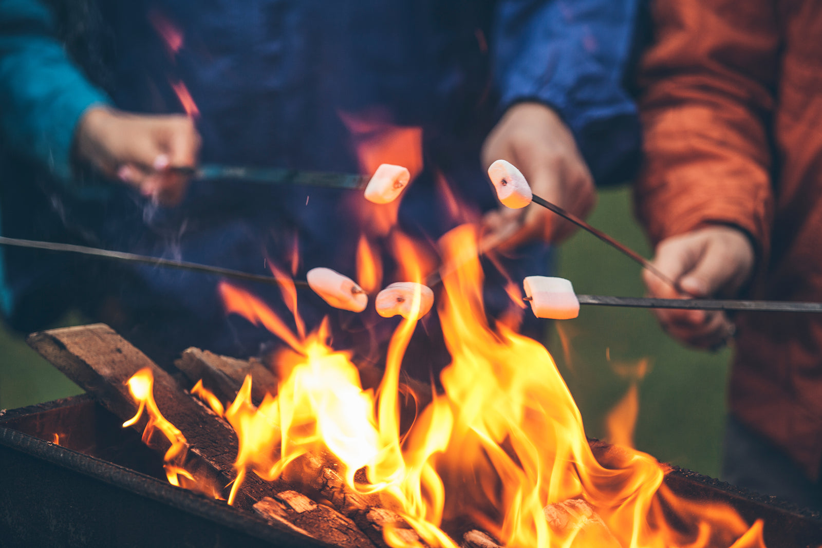 Grilling in Autumn