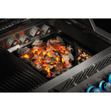 Napoleon | Cast Iron Charcoal and Smoker Tray