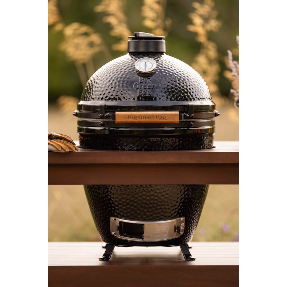 Big Green Egg | The ONYX | Large Egg | Kamado Grill