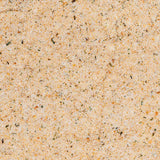 Fire & Smoke Society | Garlic Salt | All-Purpose Seasoning Blend