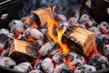 HotSmoked | Smoking Wood Chunks