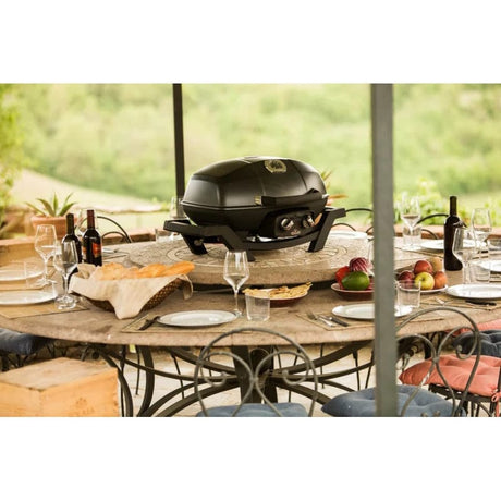 Napoleon TravelQ Pro 285 Portable Gas Grill on the table