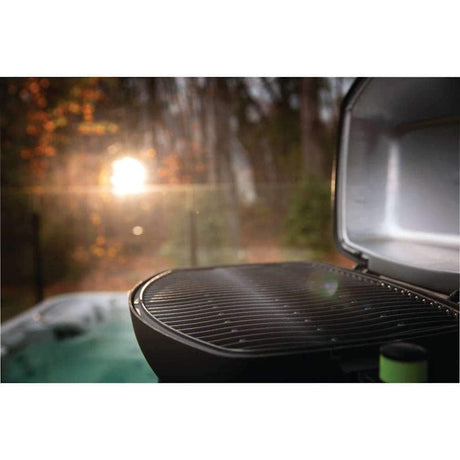 scenic view with Napoleon Electric Portable BBQ Grill