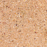 Fire & Smoke Society | Roasted Garlic Grilling Spice Blend with Brown Sugar & Black Pepper