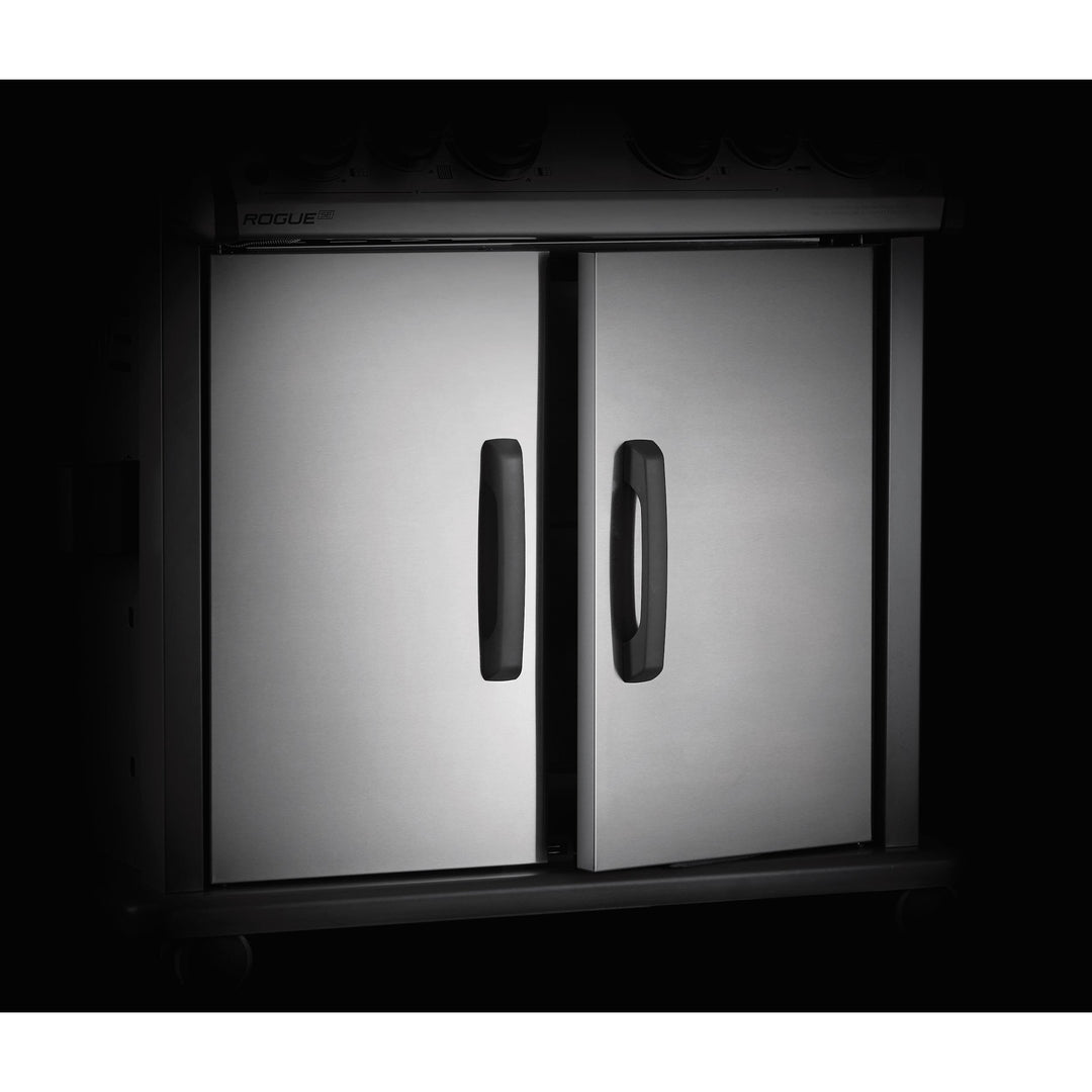 Napoleon Rogue SE 425 RSIB double doors