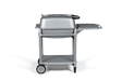 PK 300 grill by PK Grills silver version
