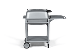 PK 300 grill by PK Grills silver version