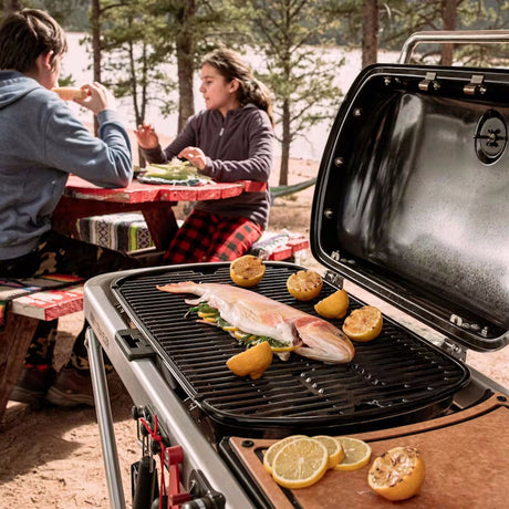 Weber Traveler Gas Barbecue lifestyle camping