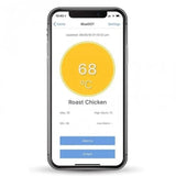 BlueDOT Bluetooth BBQ Thermometer smartphone app interface