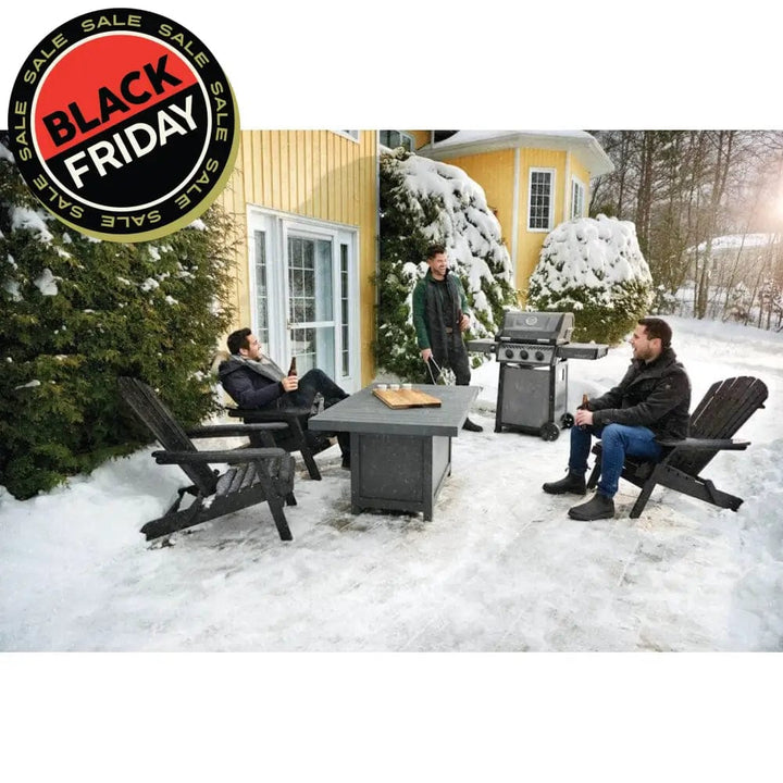 people outdoors hanging out next to Napoleon Freestyle 365 3-Burner Gas Grill in the winter