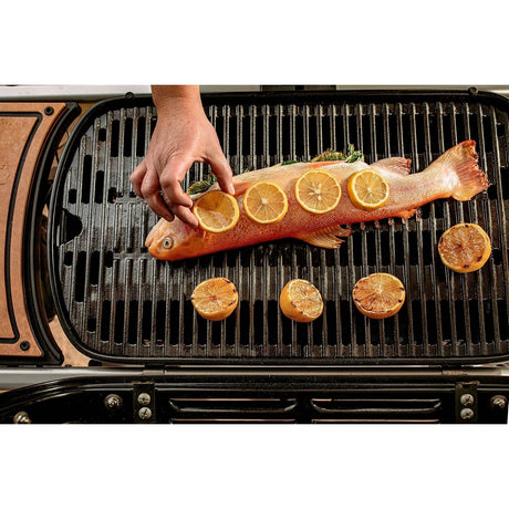 grilling fish on a Weber Traveler Gas Barbecue