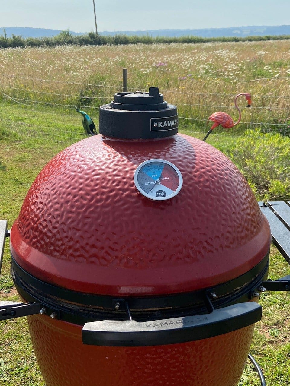 Pro Smoke Pit Thermometer on BBQ