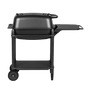 PK 300 grill by PK Grills