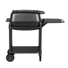 PK 300 grill by PK Grills